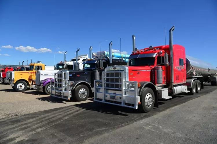 TruckFest 2020: программа фестиваля грузового транспорта