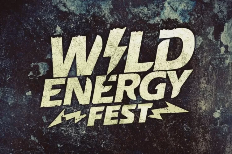 Фестиваль Wild Energy Fest в Москве
