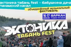 Фестивали Эктоника, Бабушкина дача